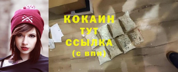 дживик Богородск