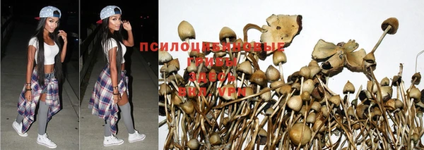 кокаин Богородицк