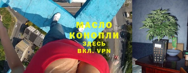 mix Бородино