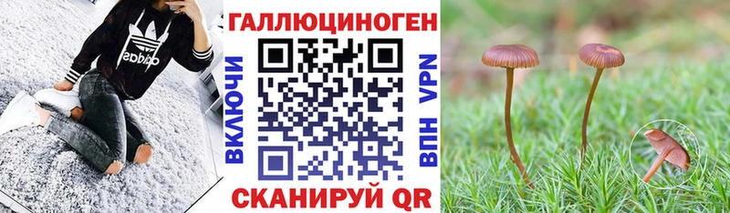 Купить  Ярцево  Галлюциногенные грибы прущие грибы 